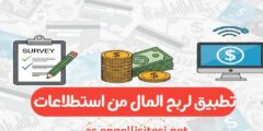 افضل تطبيق لربح من الانترنت من الاستطلاعات